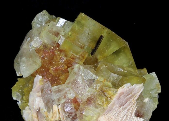 Lustrous, Yellow Cubic Fluorite Crystals - Morocco #32308